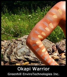 Okapi Fan Control Systems Warrior. Rock Paints. Greenhill EnviroTechnologies Inc.