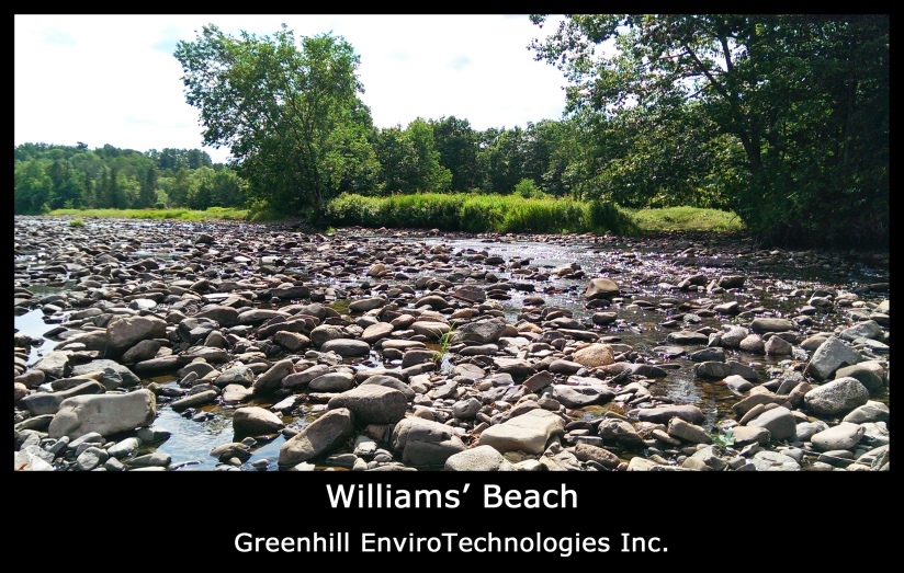Williams' Beach, Salt Springs, Pictou County, Nova Scotia. Greenhill EnviroTechnologies Inc.