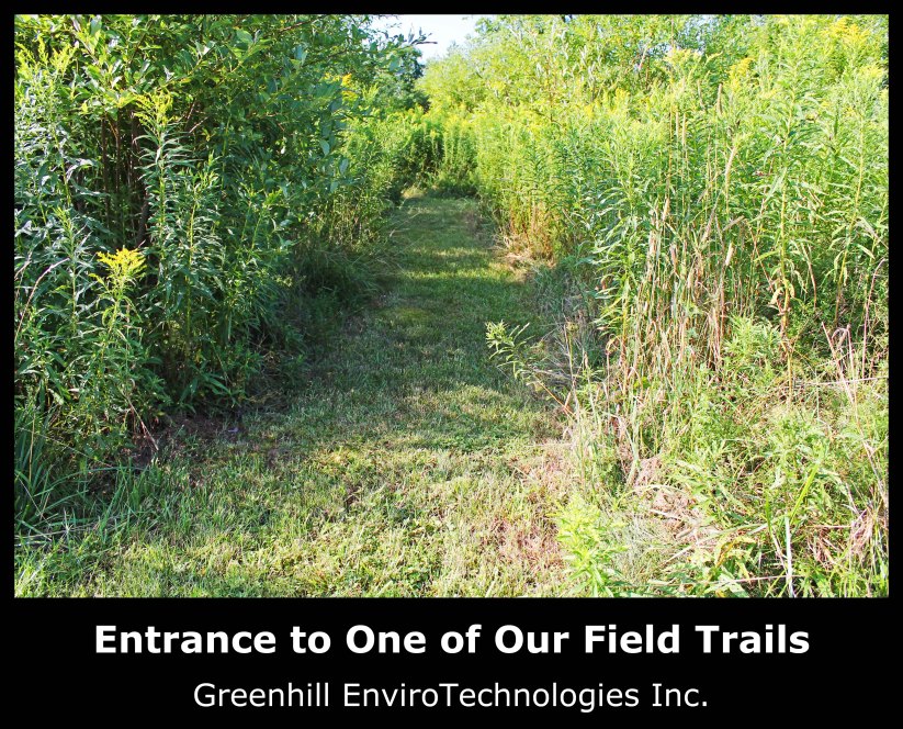 Field Trails. Greenhill EnviroTechnologies Inc.