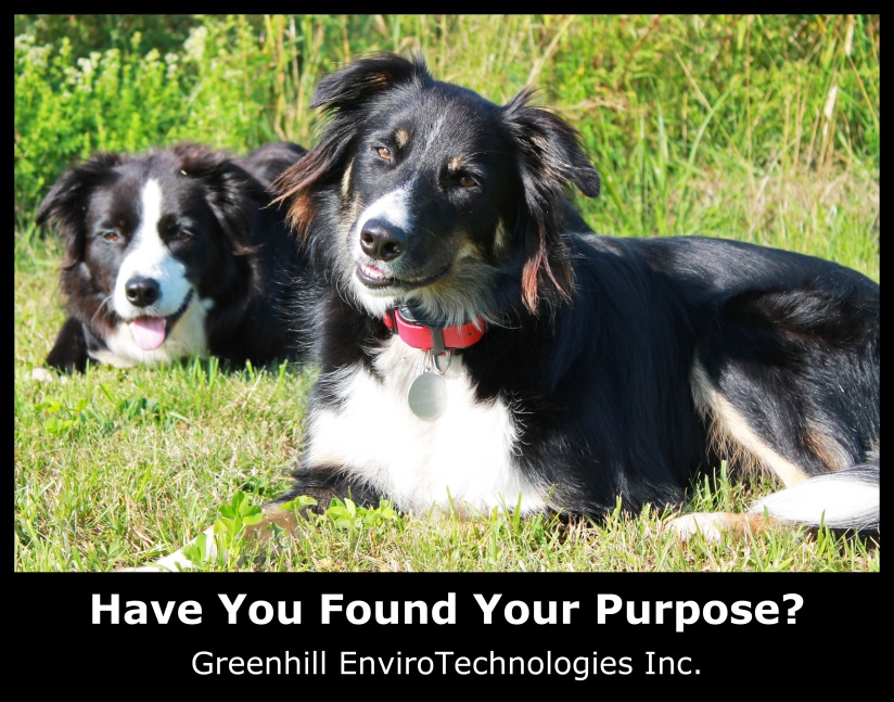 Have You Found Your Purpose? Greenhill EnviroTechnologies Inc.