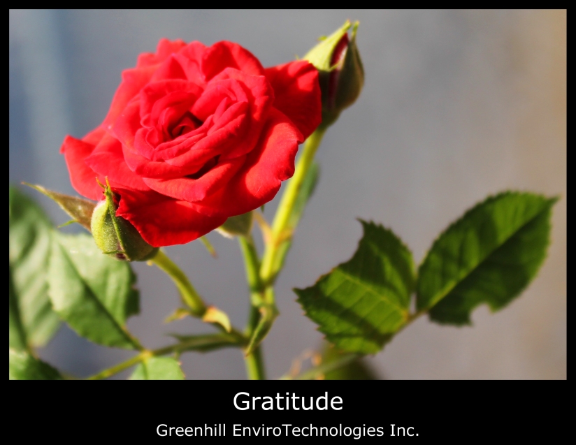 Gratitude. Greenhill EnviroTechnologies Inc.