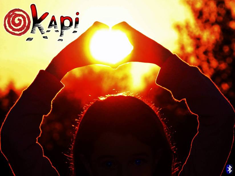 Okapi Bluetooth: the Solar Air Heater Control System. Kickstarter Project, 2014. Greenhill EnviroTechnologies Inc.